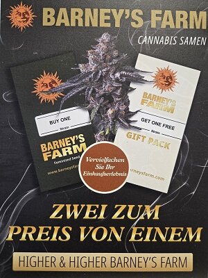 Barney's Farm 1+1