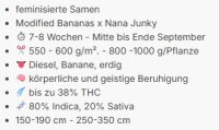 Honey Fried Bananas + Indica + bis 38% + Anesia Seeds