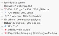 Roswell Code + Indica + bis 39% + Anesia Seeds