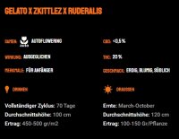 Runtz Auto + Hybrid + Kannabia Seed Company
