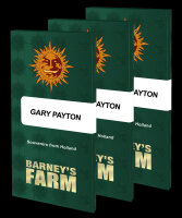Gary Payton + Hybrid + Barneys Farm