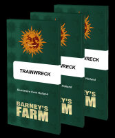 Trainwreck + Sativa + Barneys Farm