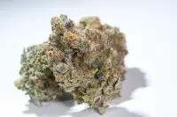 London Pound Cake 5er Pack + Indica + SaarSeeds