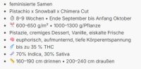 Pistachio Snow Cream + Indica + Anesia Seeds