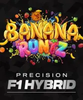 Banana Runtz + Hybrid + Barneys Farm