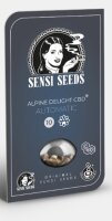 CBD Alpine Delight 1:30 + Auto + Sensi Seeds