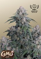GMO Auto + Indica + Fast Buds