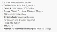 Future #1® + Hybrid + bis 37% + Anesia Seeds